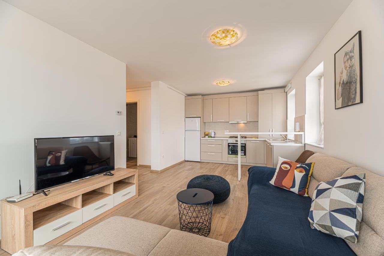 Coresi Modern Apartment ブラショフ エクステリア 写真